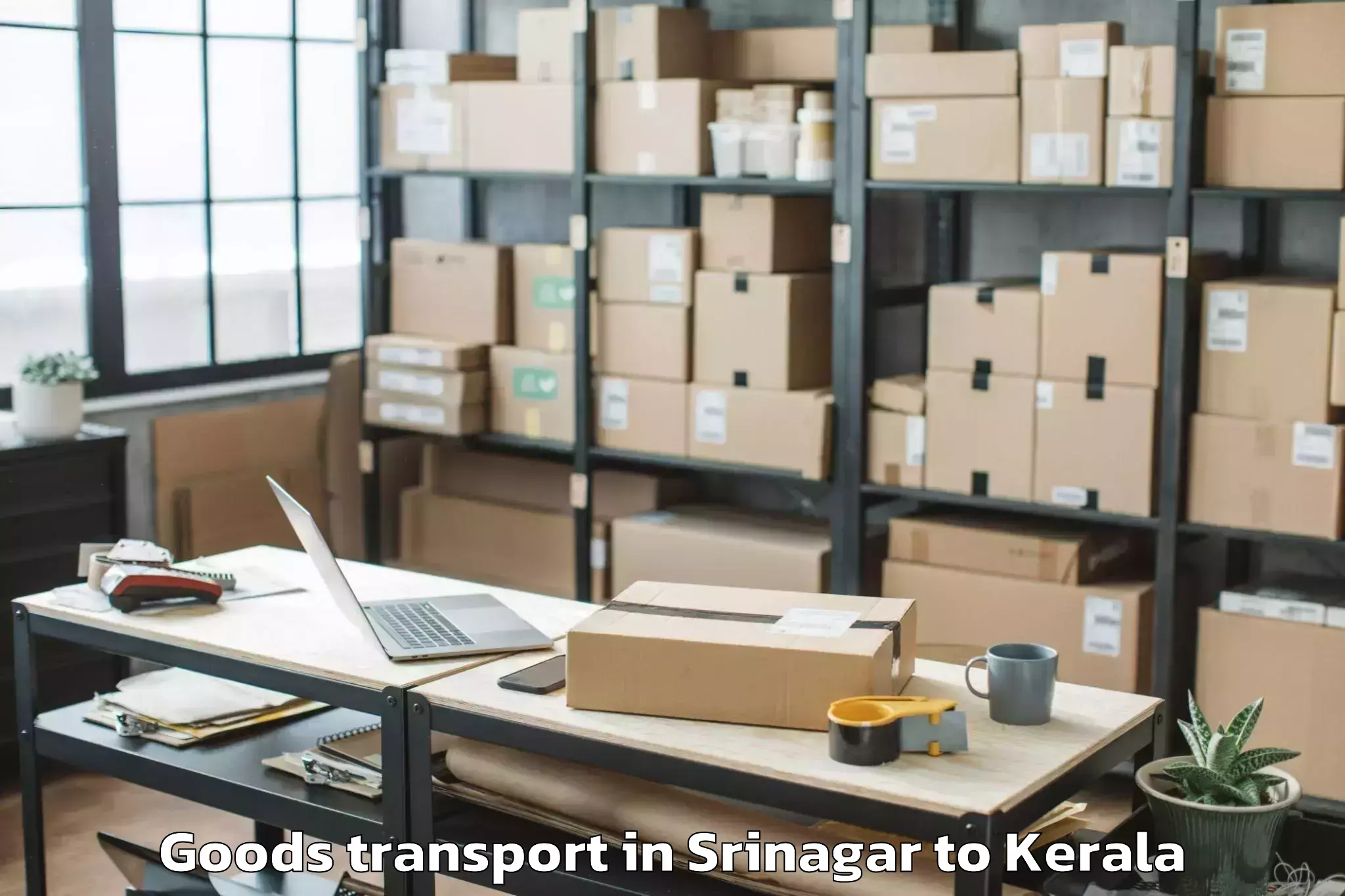 Leading Srinagar to Nenmara Goods Transport Provider